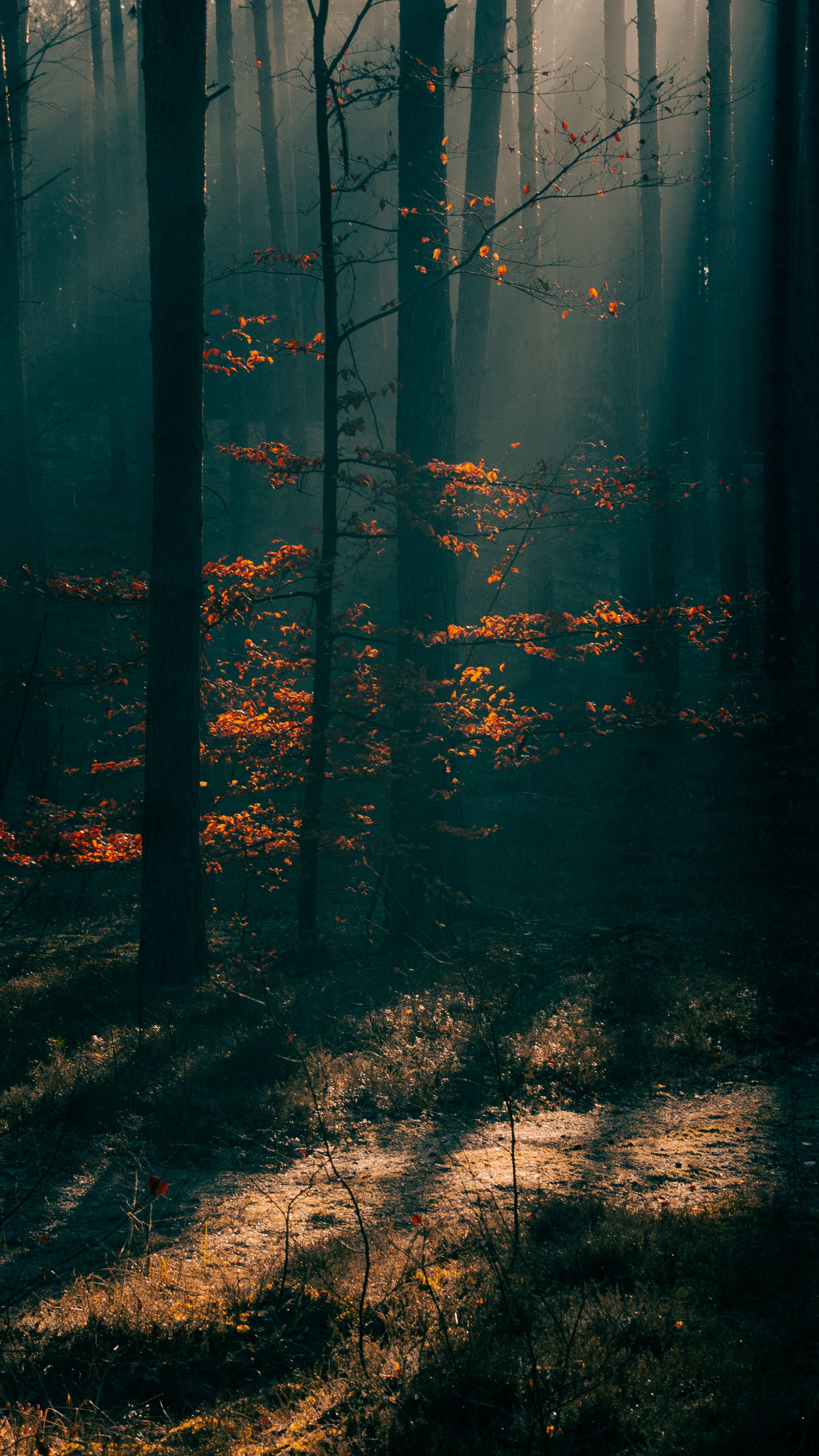 Herbst 3